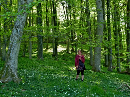 bil-roadtrip österlen